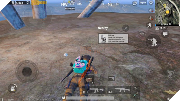 Locations for a companion in PUBG mobile