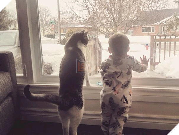  
Có một người bạn cùng nhau lớn lên thì còn gì tuyệt vời bằng