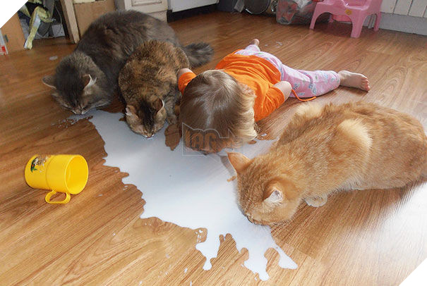  
Nghịch ngợm cùng nhau