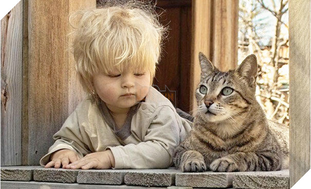  
Mèo sẽ cùng trẻ khám phá những điều kì thú