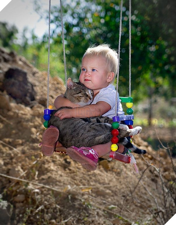  
Nuôi mèo giúp sửa ấm trái tim ta