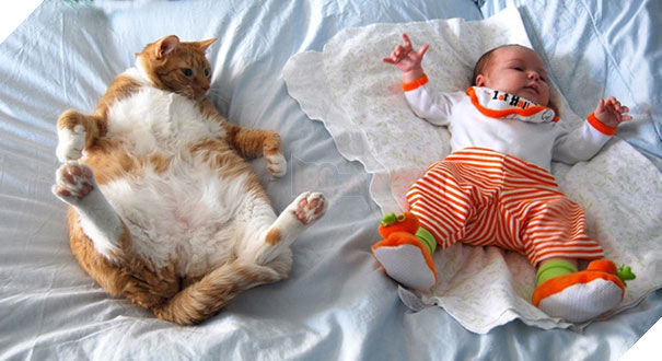  Không chỉ mèo đã giúp trẻ trưởng thành mà trẻ cũng đang mang đến yêu thương cho người bạn này