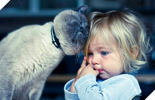  
Người bạn này lặng lẽ bên cạnh, tựa đầu vỗ về những lúc trẻ buồn bã