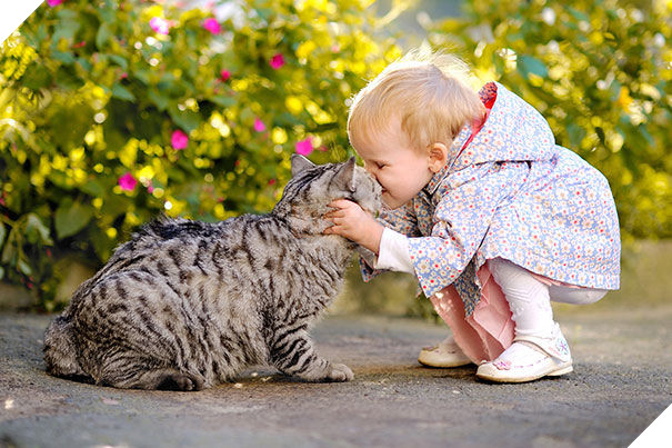  
Tặng người bạn của mình một chiếc hôn ngọt ngào