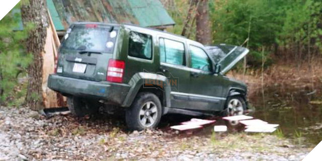 Cô chó Pit bull dũng cảm cứu chủ sau tai nạn xe hơi bất ngờ 3