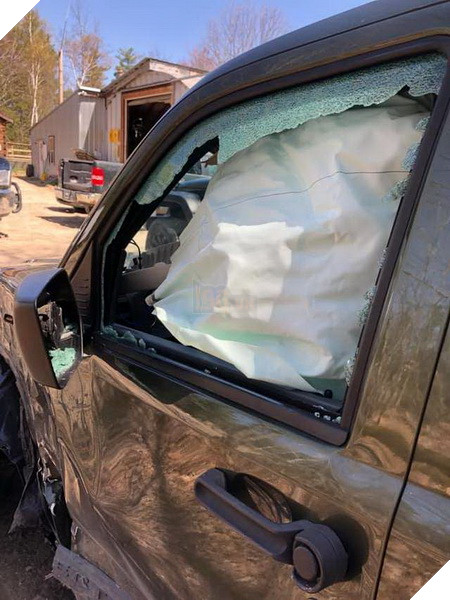 Cô chó Pit bull dũng cảm cứu chủ sau tai nạn xe hơi bất ngờ 2