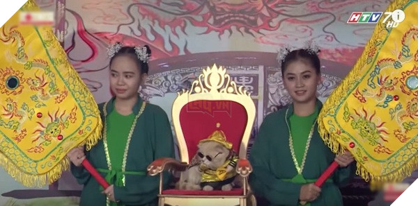 Chú mèo tên Chó xuất hiện tại chương trình Người bí ẩn khiến nhiều người thích thú.