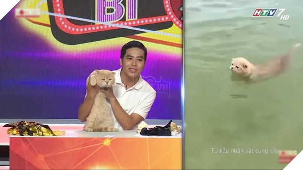 Lâu lâu chơi lớn một lần, chú mèo hoàng thượng tên Chó lại khiến khán giả 'Người bí ẩn' trầm trồ 2