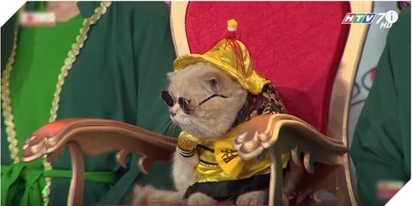 Lâu lâu chơi lớn một lần, chú mèo hoàng thượng tên Chó lại khiến khán giả 'Người bí ẩn' trầm trồ 1