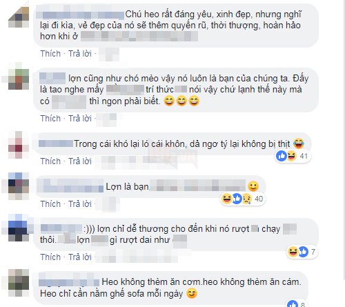 
Dân mạng nhanh chóng để lại bình luận của mình - Ảnh: Chụp màn hình