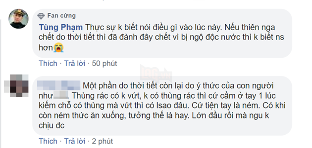 Vừa được thả chưa bao lâu, thiên nga Hải Phòng gục trên bãi rác sông Tam Bạc