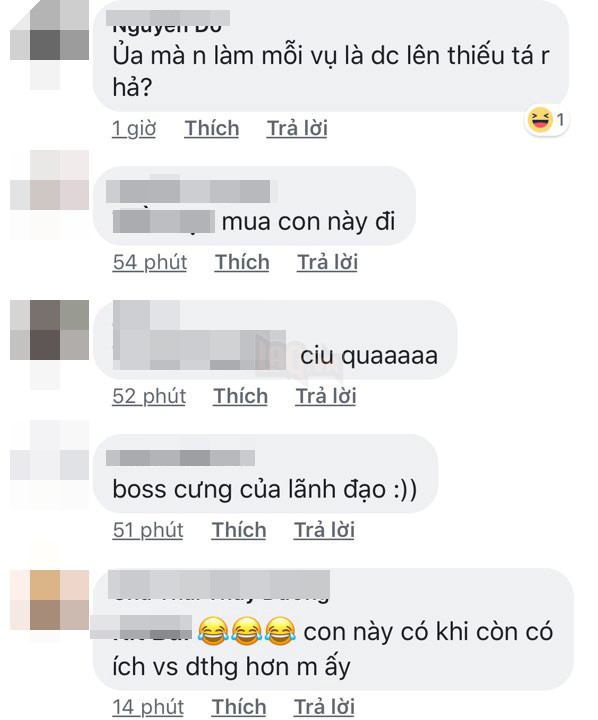 Chú chó Corgi được làm Thiếu Tá, CĐM: “Chân ngắn vậy đuổi cướp khó đấy”