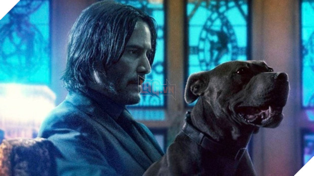 John Wick: Chapter 4 đã được xác nhận và hé lộ ngày phát hành chính thức - Ảnh 1.