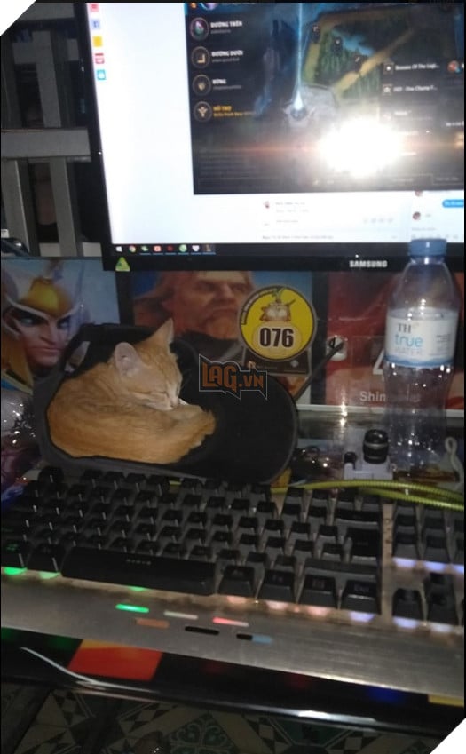 Ôm “boss” đi net: Trào lưu mới của cộng đồng Liên Minh Huyền Thoại Việt Nam 5