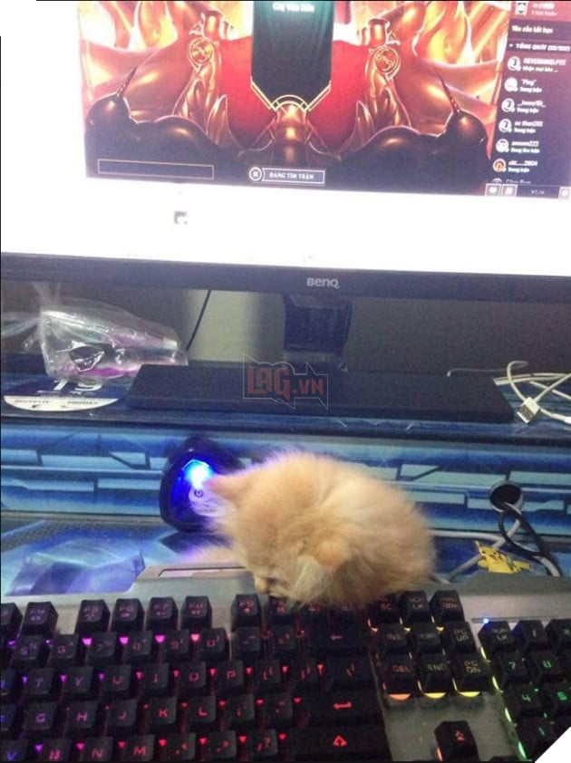 Ôm “boss” đi net: Trào lưu mới của cộng đồng Liên Minh Huyền Thoại Việt Nam 8