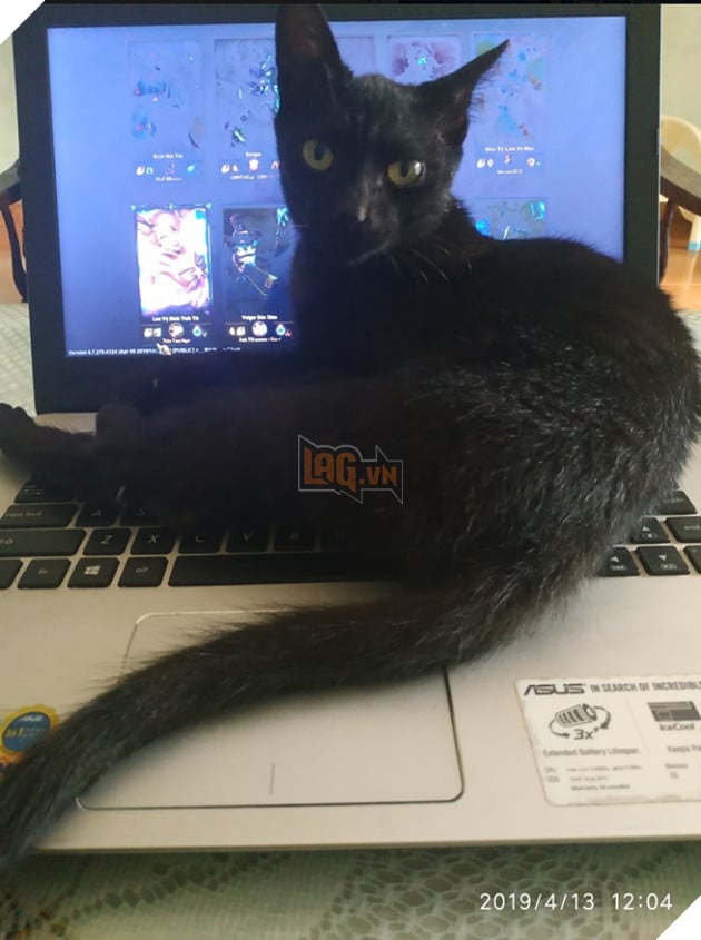 Ôm “boss” đi net: Trào lưu mới của cộng đồng Liên Minh Huyền Thoại Việt Nam 10