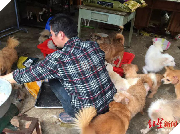Người đàn ông cưu mang chó hoang đến tán gia bại sản, bố mẹ nghỉ hưu cũng quay lại làm việc phụ con trả nợ - Ảnh 1.
