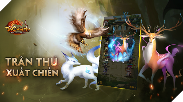 Điểm danh dàn PET cực hầm hố chỉ có tại Tân Chưởng Môn VNG