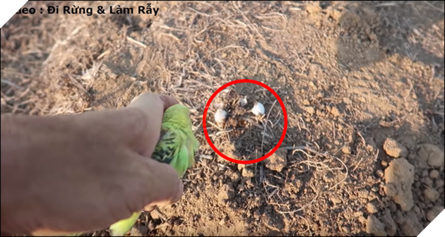 Bà Tân Vlogs và vấn nạn về việc sáng tạo nội dung Youtube tạm bợ, thiếu chiều sâu 3