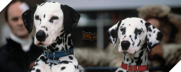 Khả năng nào cho Aladdin Live-Action ra mắt phần tiếp theo? 7