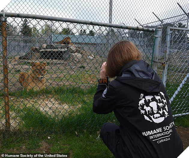 Giải cứu th&#250; qu&#253; hiếm trong sở th&#250; tồi t&#224;n ven đường: hơn 100 c&#225; thể bị bạc đ&#227;i, bỏ đ&#243;i... khiến nhiều người phẫn nộ - Ảnh 2.