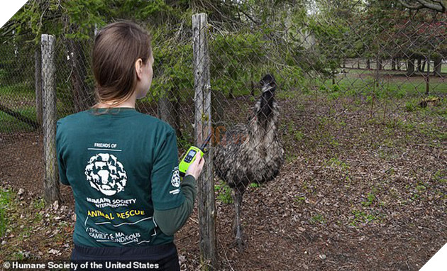 Giải cứu th&#250; qu&#253; hiếm trong sở th&#250; tồi t&#224;n ven đường: hơn 100 c&#225; thể bị bạc đ&#227;i, bỏ đ&#243;i... khiến nhiều người phẫn nộ - Ảnh 3.