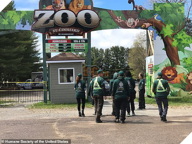 Giải cứu th&#250; qu&#253; hiếm trong sở th&#250; tồi t&#224;n ven đường: hơn 100 c&#225; thể bị bạc đ&#227;i, bỏ đ&#243;i... khiến nhiều người phẫn nộ - Ảnh 3.