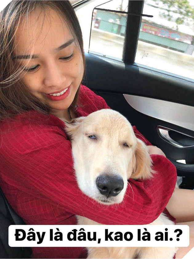 Chú chó đốn tim cư dân mạng bởi loạt biểu cảm nói hộ nỗi lòng của những người... say xe khi đi du lịch - Ảnh 23.