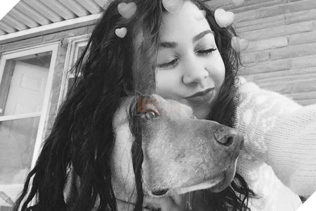 Bé chó béo ú giả bộ đáng thương để xin ăn ngay trước McDonald, cô chủ phải than trời 5