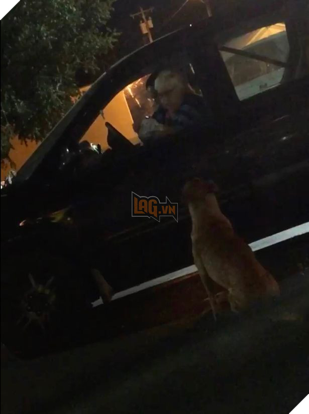 Bé chó béo ú giả bộ đáng thương để xin ăn ngay trước McDonald, cô chủ phải than trời 3