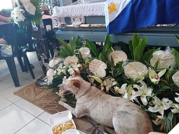  
Buboy nằm lặng thinh trước linh cữu của vị giáo sư.