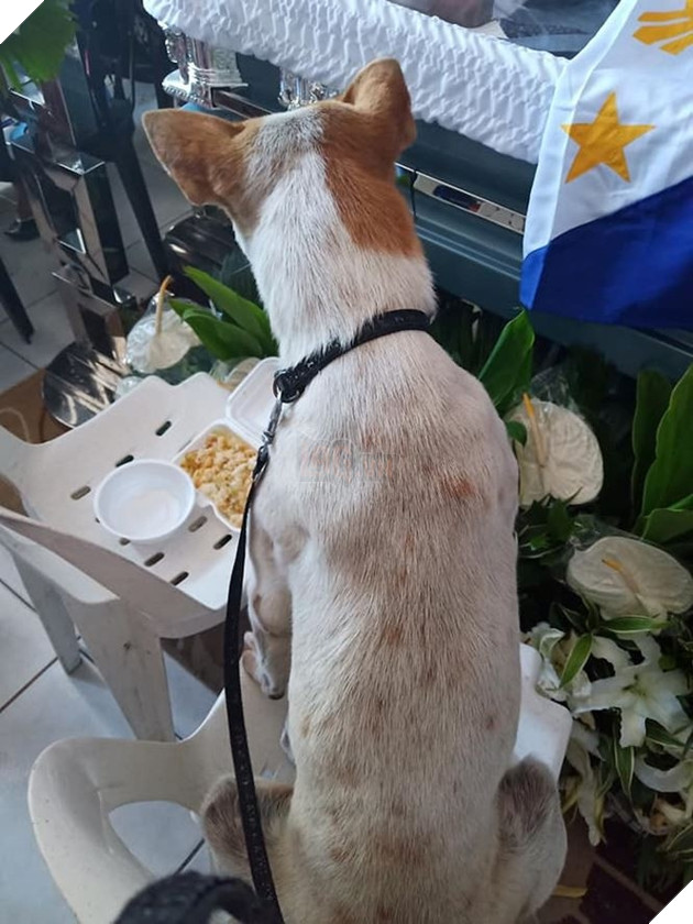  
Buboy sau đó đã được các sinh viên của vị giáo sư đưa tới đám tang.