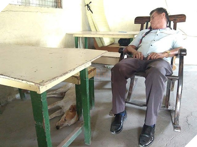  
Buboy thường xuyên tới trường và nô đùa cùng vị giáo sư.