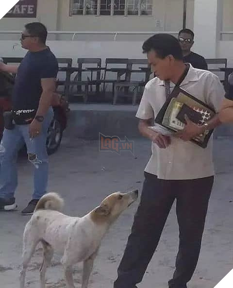  
Buboy vốn là một chú chó đi lạc được vị giáo sư nhặt về nuôi.