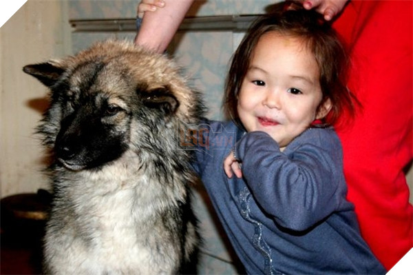  Cô bé Karina và chú chó Naida thực sự là một đôi bạn thân “có phúc cùng hưởng, có họa cùng chia”. (Ảnh: Mirror)