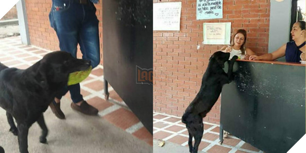 Chu cho vo gia cu moi ngay dung mot chiec la de 'mua' banh quy hinh anh 1 