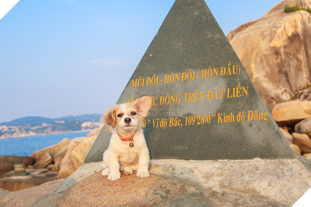 Cún cưng tên Tiểu Cư và hành trình đi phượt khắp nơi cùng cô cậu chủ: Boss nào “chịu chơi” hơn em? - Ảnh 7.