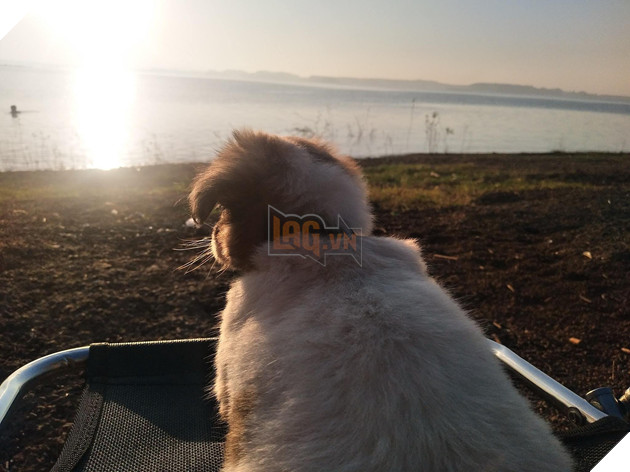 Cún cưng tên Tiểu Cư và hành trình đi phượt khắp nơi cùng cô cậu chủ: Boss nào “chịu chơi” hơn em? - Ảnh 13.