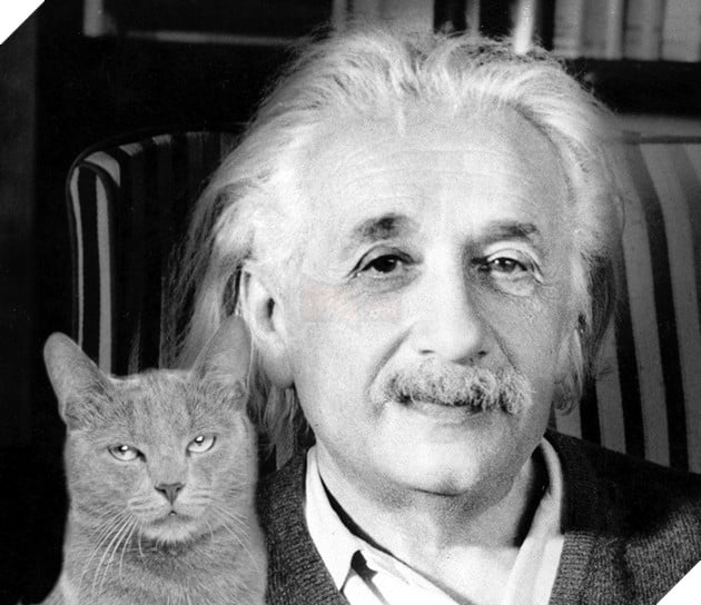 Người nuôi mèo thông minh hơn, nhưng người nuôi chó lại dễ tồn tại trong xã hội và đây là lý do - Ảnh 1.