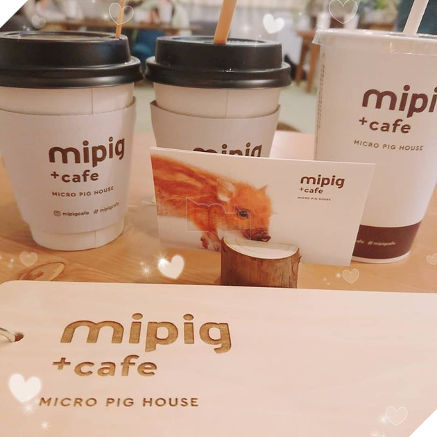Cà phê chó, mèo thì thấy nhiều rồi. Bạn muốn mới lạ? Chào mừng bạn đến quán cà phê... heo có 1-0-2 ở Nhật Bản! - Ảnh 17.