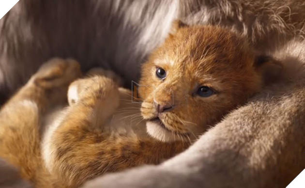 Đạo diễn Lion King muốn nhấn mạnh vào Vòng quay Cuộc sống