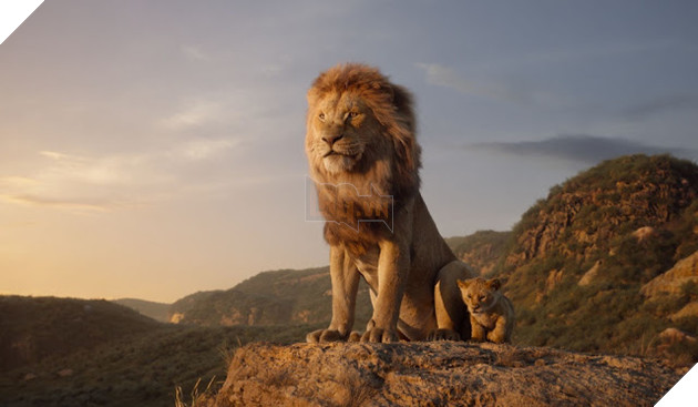 Đạo diễn Lion King muốn nhấn mạnh vào Vòng quay Cuộc sống 3