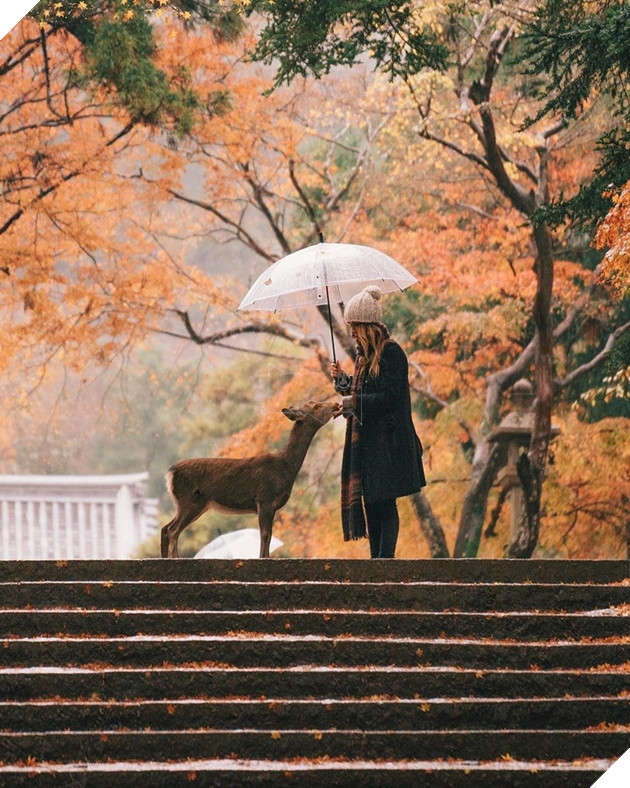  
Chúng thường giúp cho khách du lịch có được những bộ ảnh "sống ảo để đời" như thế này đây.