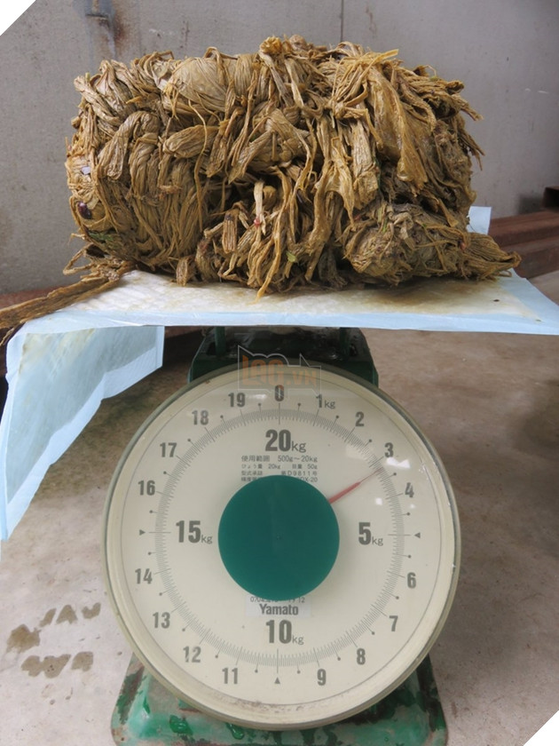  
Người ta phát hiện trong dạ dày nó là 3,2kg túi ni lông đã đóng cục cứng ngắc.
