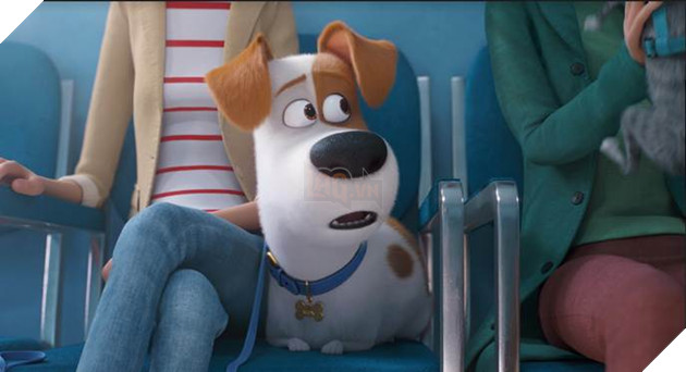 Dự đoán thủ lĩnh của biệt đội siêu anh hùng thú cưng Đẳng cấp thú cưng 2