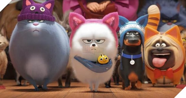 Dự đoán thủ lĩnh của biệt đội siêu anh hùng thú cưng Đẳng cấp thú cưng 2 3