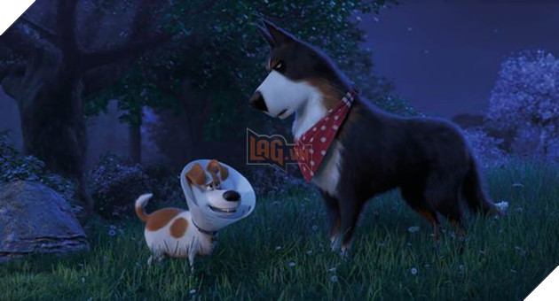 Dự đoán thủ lĩnh của biệt đội siêu anh hùng thú cưng Đẳng cấp thú cưng 2 6