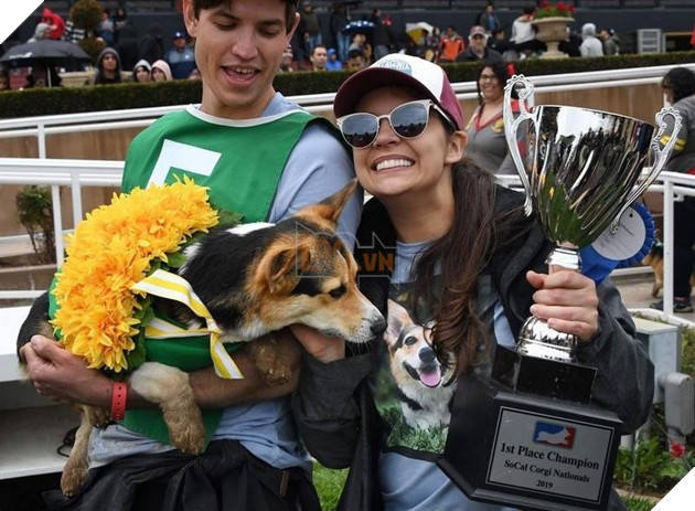 Cuộc đua dễ thương của dàn thú cưng ở California - Ảnh 10.