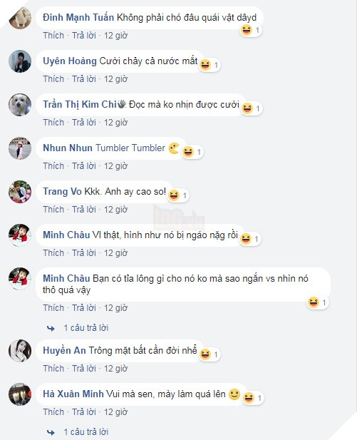   Một số bình luận hài hước của cư dân mạng  