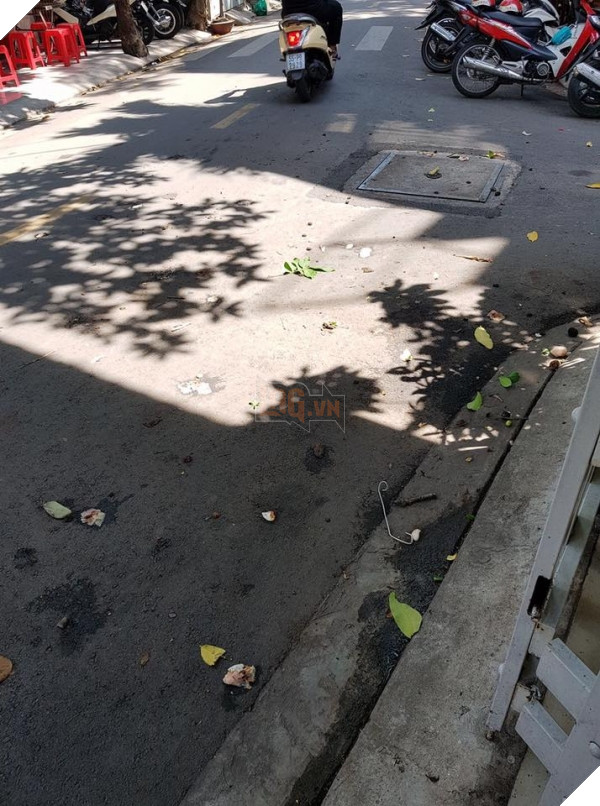   Hiện trường vụ nhảy lầu là mấy trái mận dập tung tóe, còn chú chó hoàn toàn bình thường  